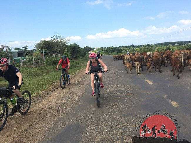 11 Days Myanmar Adventure Cycle Tours